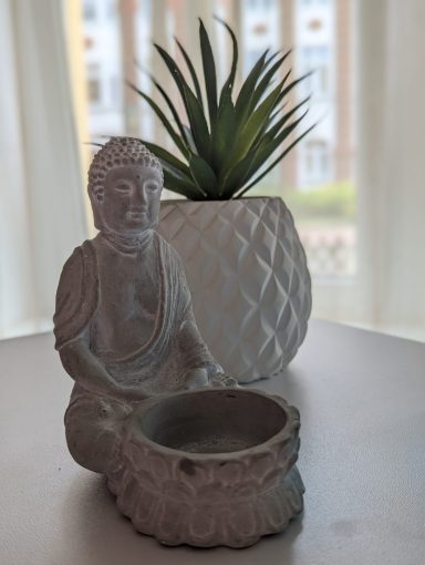 Buddha mit Pflanze